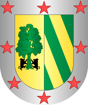 ESCUDO SIGUIENTE