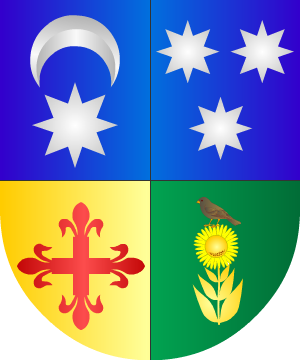 ESCUDO PRECEDENTE