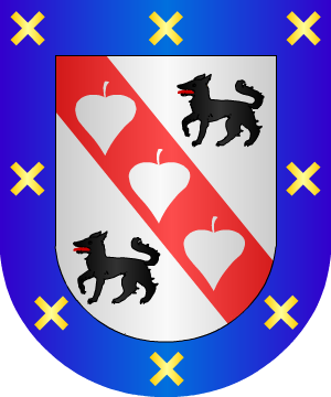 ESCUDO SIGUIENTE