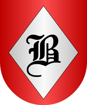 ESCUDO SIGUIENTE
