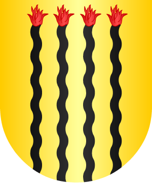 ESCUDO SIGUIENTE
