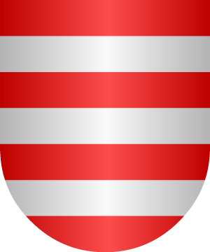 ESCUDO SIGUIENTE