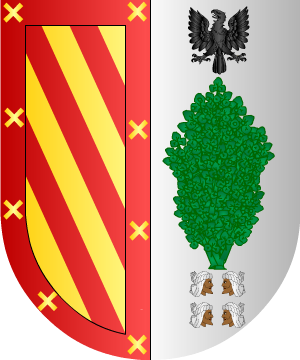 ESCUDO SIGUIENTE