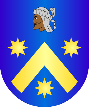 ESCUDO SIGUIENTE