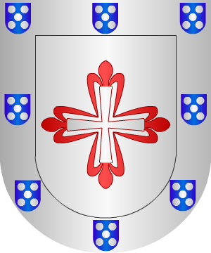 ESCUDO ALEATORIO