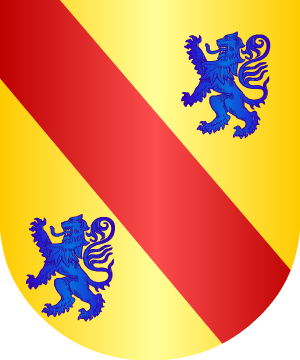 ESCUDO ALEATORIO