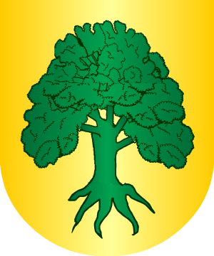 ESCUDO SIGUIENTE