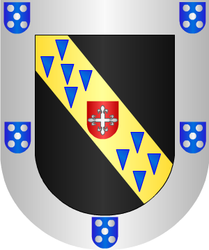 ESCUDO SIGUIENTE