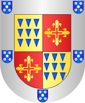 ESCUDO SIGUIENTE