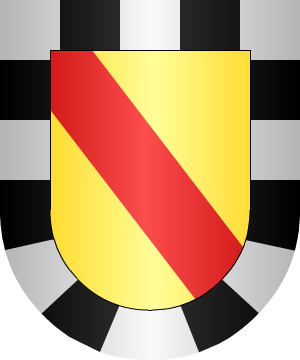 ESCUDO SIGUIENTE