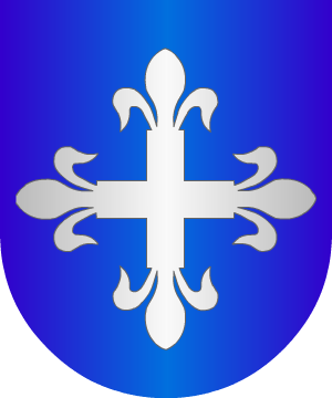 ESCUDO PRECEDENTE