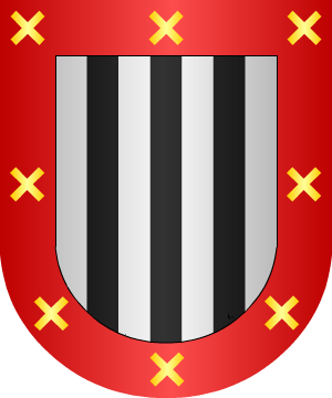 ESCUDO ALEATORIO