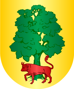 ESCUDO SIGUIENTE
