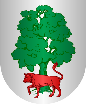 ESCUDO SIGUIENTE