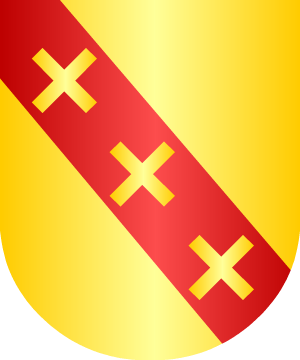 ESCUDO SIGUIENTE