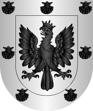 ESCUDO ALEATORIO