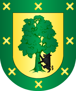 ESCUDO SIGUIENTE