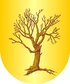 ESCUDO ALEATORIO