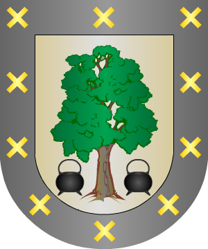 ESCUDO SIGUIENTE
