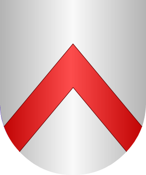 ESCUDO SIGUIENTE