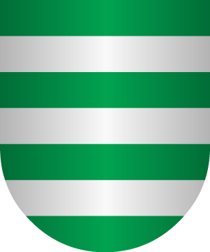 ESCUDO SIGUIENTE