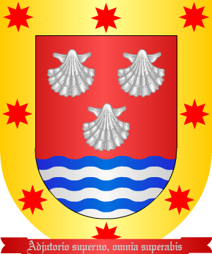 ESCUDO SIGUIENTE