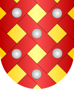 ESCUDO SIGUIENTE