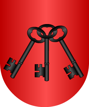 ESCUDO SIGUIENTE
