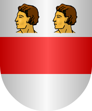 ESCUDO SIGUIENTE