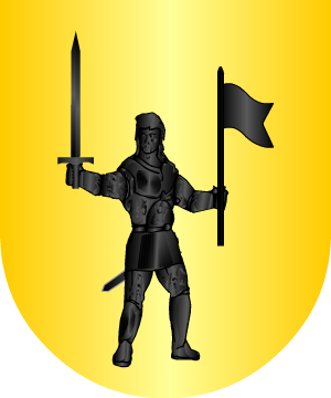 ESCUDO ALEATORIO