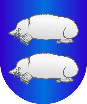 ESCUDO SIGUIENTE