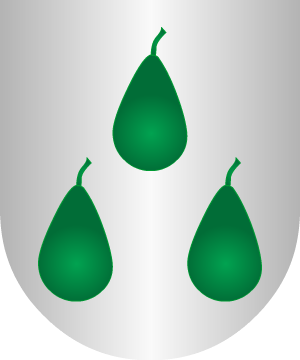 ESCUDO SIGUIENTE