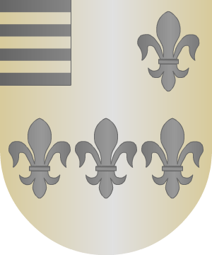 ESCUDO SIGUIENTE
