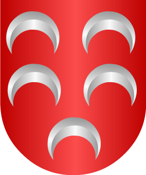 ESCUDO ALEATORIO