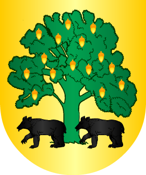 ESCUDO PRECEDENTE