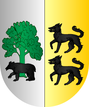 ESCUDO SIGUIENTE