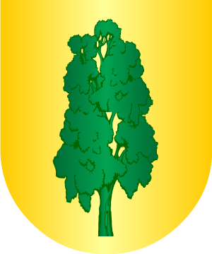 ESCUDO SIGUIENTE