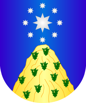 ESCUDO SIGUIENTE