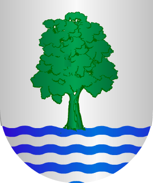 ESCUDO SIGUIENTE