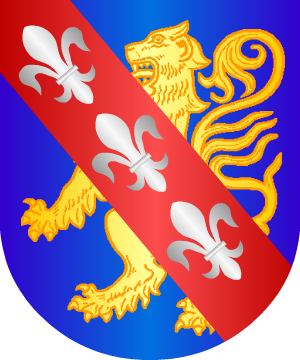 ESCUDO SIGUIENTE