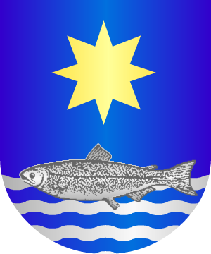 ESCUDO ALEATORIO