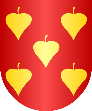ESCUDO ALEATORIO