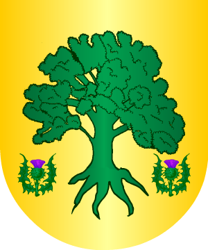 ESCUDO SIGUIENTE