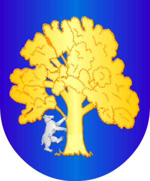 ESCUDO SIGUIENTE