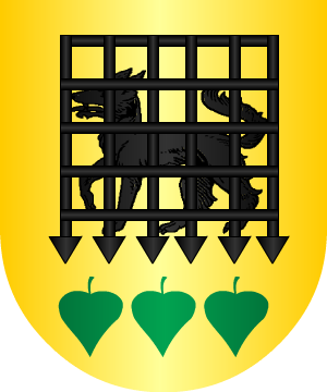 ESCUDO SIGUIENTE