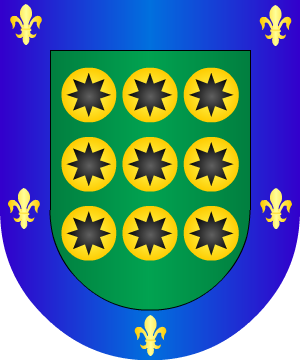 ESCUDO SIGUIENTE