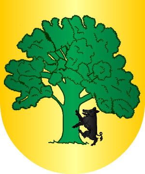 ESCUDO SIGUIENTE