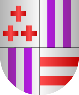 ESCUDO SIGUIENTE