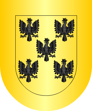 ESCUDO ALEATORIO