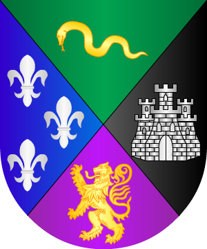 ESCUDO SIGUIENTE